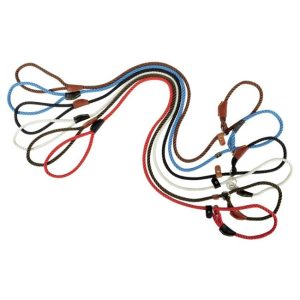 Guinzaglio a strangolo da esposizione marrone 1,0x135cm