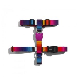 Zeedog  prismas H harness