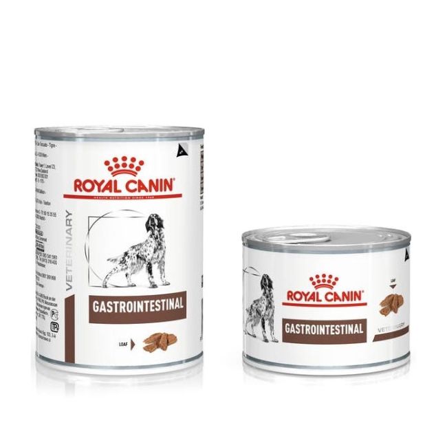 Royal canin dog veterinary diet gastro intestinal 200GR