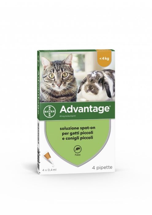 Advantage gatti e conigli fino a 4kg 4 pipette
