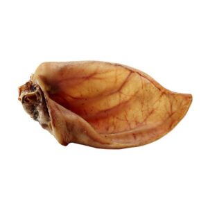 barfdries orecchio di suino